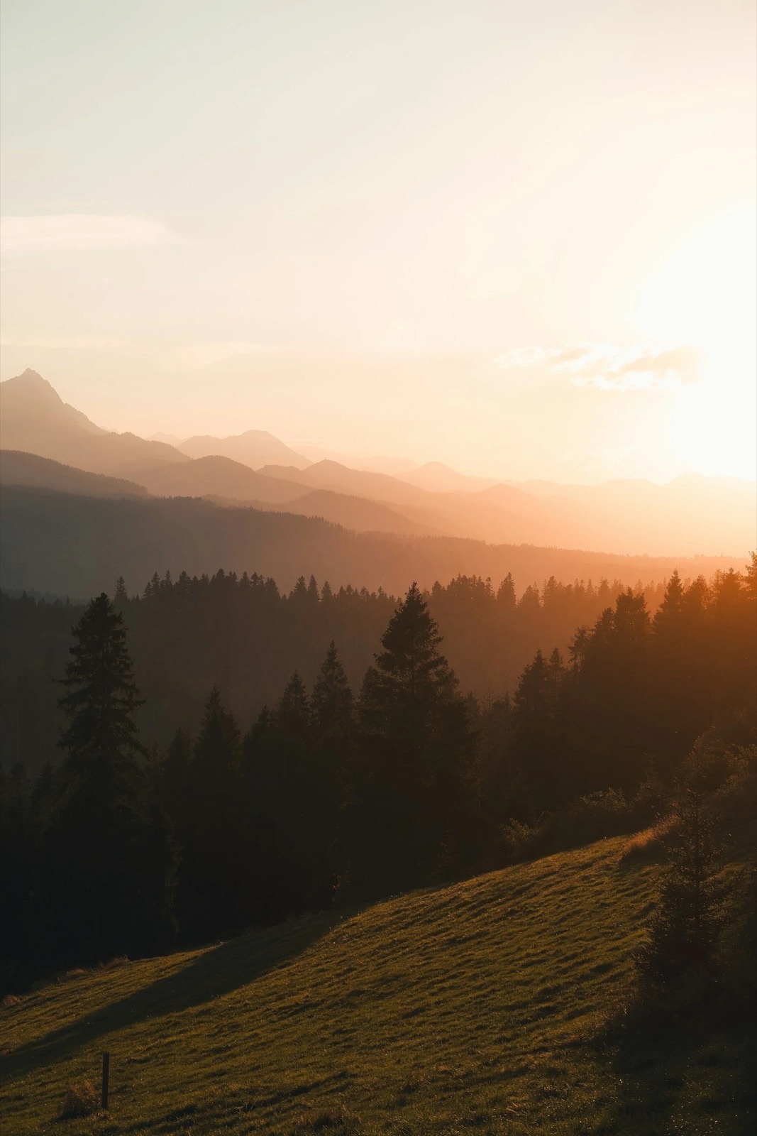 Sunset over forested mountain ridges.